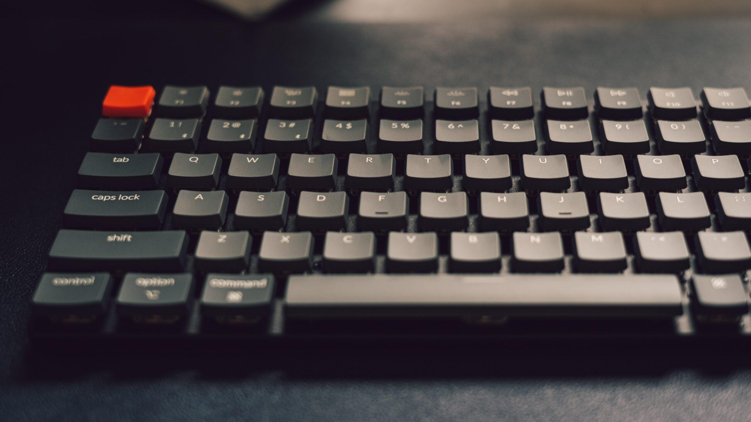 5 Best Full-Size Keyboards for Bookkeepers